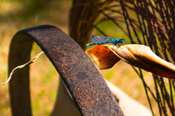 Galerie GH - Gabriele Husler
